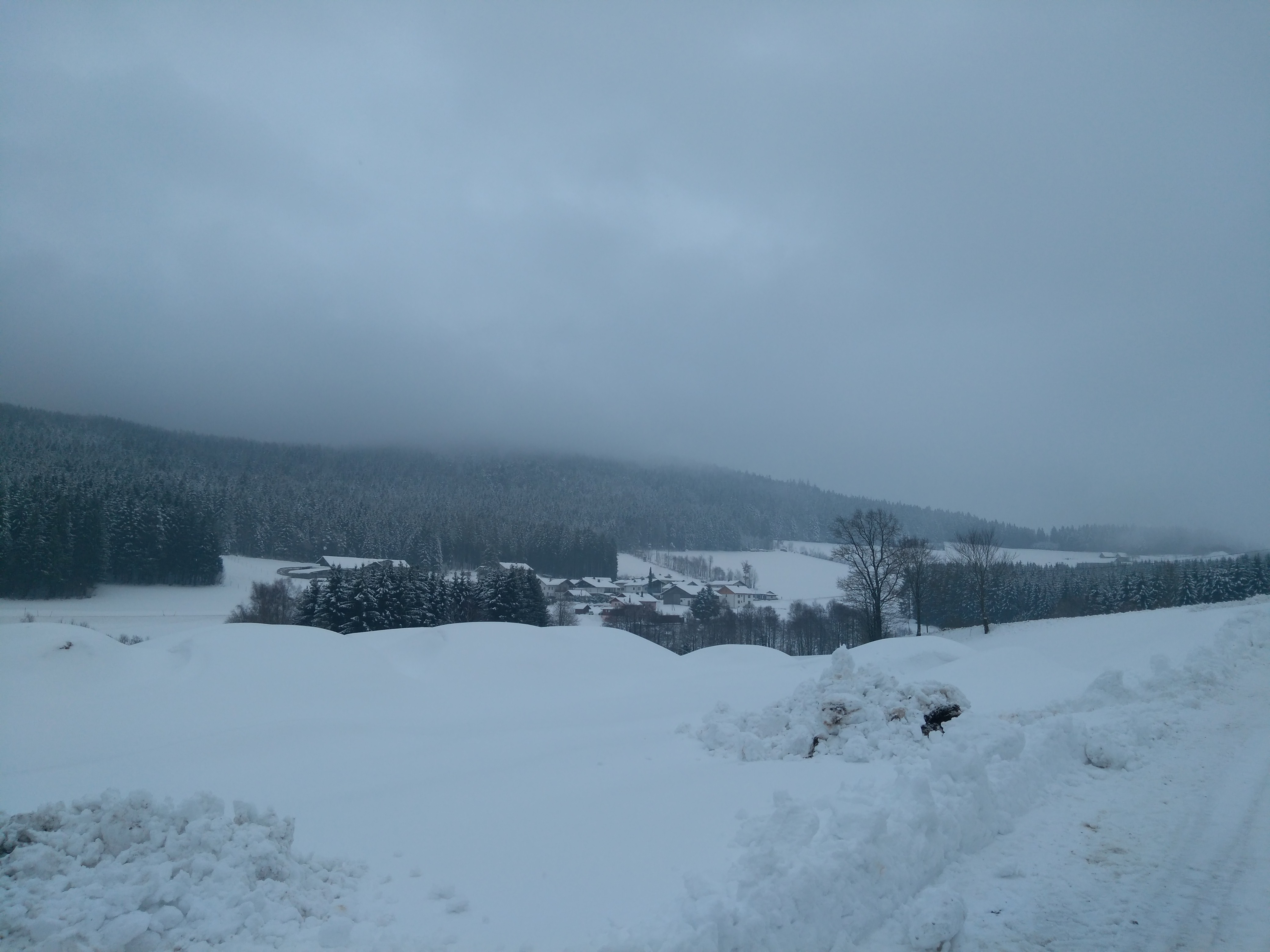 Der erste Schnee im bayrischen Wald mit dem Bridgestone DriveGuard Winter.